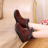 Fur Plush Winter Ankle Boot