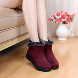 Fur Plush Winter Ankle Boot