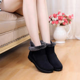 Fur Plush Winter Ankle Boot