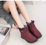 Winter Fur Lining Boots for Women